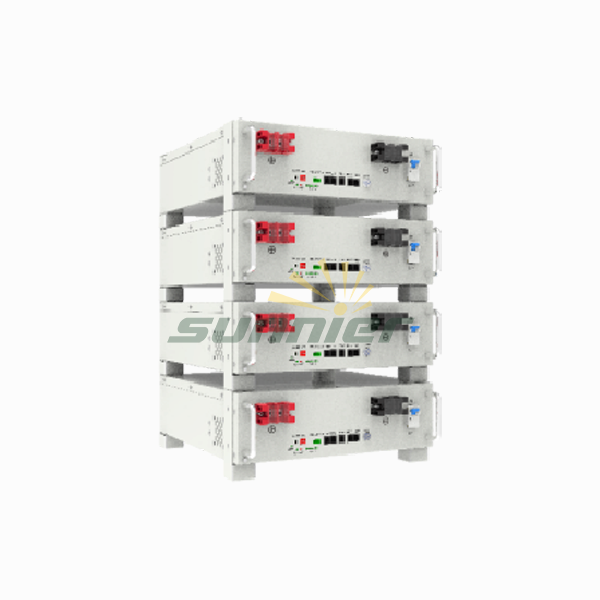 RACK MOUNTED ESS_Low Voltage100ah